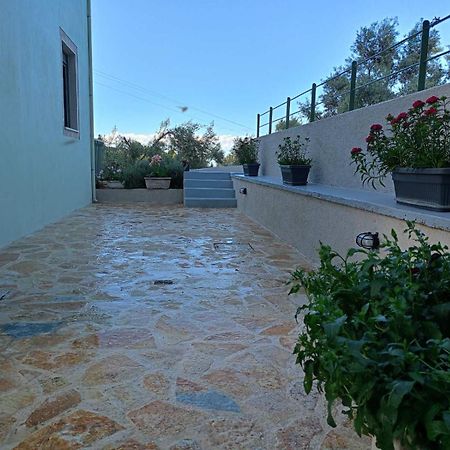 Armonia Villa Lefkada Kariótai Kültér fotó
