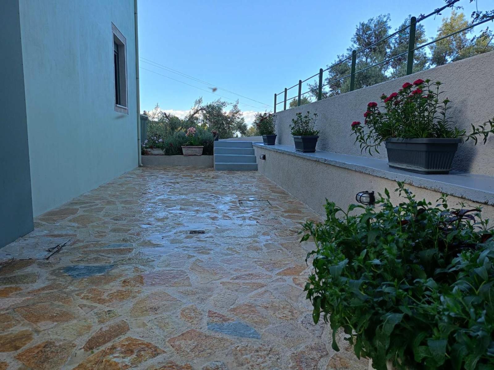 Armonia Villa Lefkada Kariótai Kültér fotó